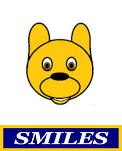 Smiley Face Icon by wild1