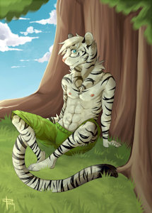 Sunny Day by executor