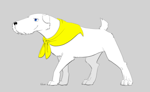 white schnauzer by CausationCorrelation