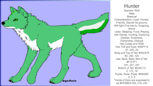 Feral Ref Sheet by Hunter2133
