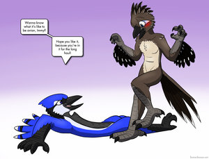 Featherbrained, Part 4 - Birds of a Feather by Immelmann