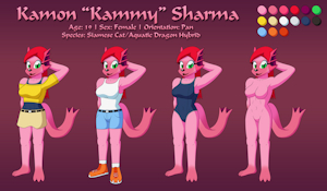 Character Sheet - Kamon "Kammy" Sharma by Plom510