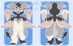 Kestrel Ref by KittenToys