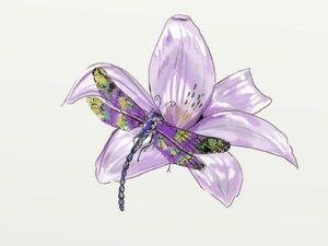 Sweet dragon fly by BeBoo
