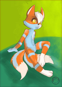 SkyFox by Harumi