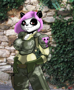 Tank Panda by flatrabbit