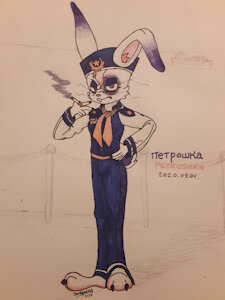 Petroshka Arrives by Zivrshka