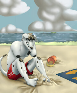 Fun at the beach by Spottydog