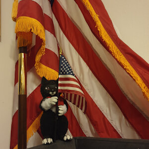 Proud and happy Little Balto by Balto