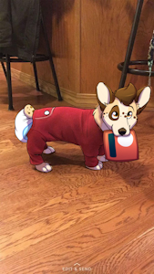 I'm a baby please be my Patreon :3 by BaltNWolf