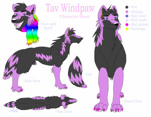 Tav Windpaw Character Sheet by TavWindpaw