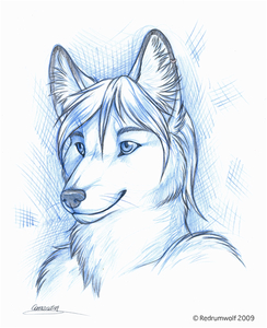 Cizkaro by Redrumwolf/Rimsky/Kashmere by cizkaro