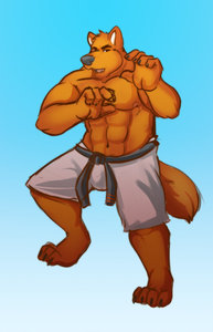 Judo Wolf by Horrorshow