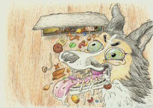Mata hunden by bajsbajsbajs