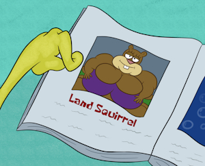 Land Squirrel - Screencap Redraw by SinkCandy