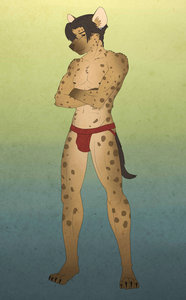 Better Spots, Spots which are Better by Biscuits