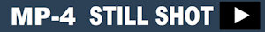 Still Shot Label 4500 by wild1