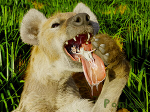 yeen for vore day by Ponlets