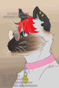 TuffLuv by tuffluv
