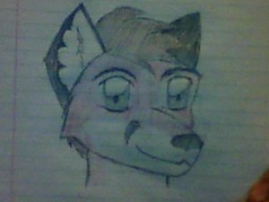 Wolfwrighter Gift Sketch by MaikeruLiengod