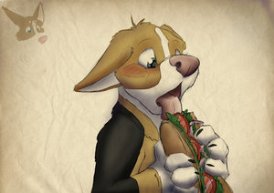Taco by Chuo