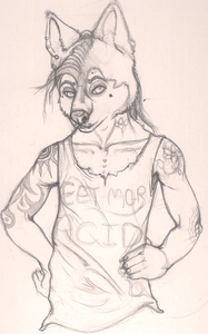 Husky Sketch WIP by baddoggie