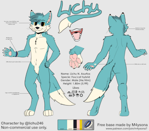 Lichu detailed reference sheet by lichu246