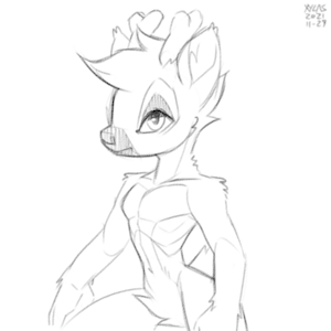2021-11-29 by xylas