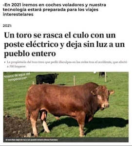 Muuuuuuu by Nuty