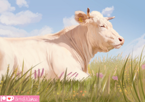 Handsome bull by Nakoo