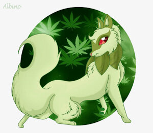 Weed Cat by QueenChilla