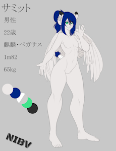 Summit Ref Sheet by NIBV