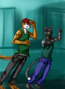 Coordination by Phoenixe