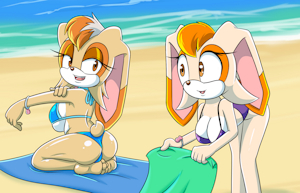 Rabbits at the Beach by Sonicguru