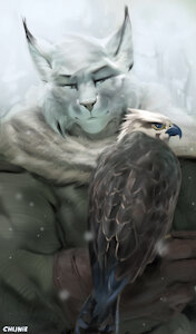 Falconer by chunie
