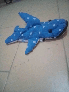 shark pencil case by TabataSensei