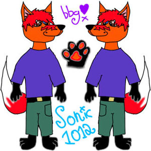 Sonic 1012 Request by beatboxgal
