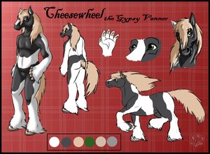 Cheesewheel ref by jesslyra