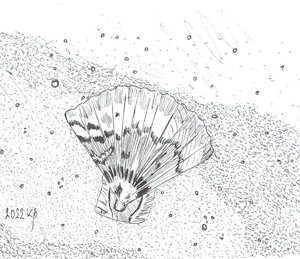 Inktober 2022 - 04. Scallop by Gashren
