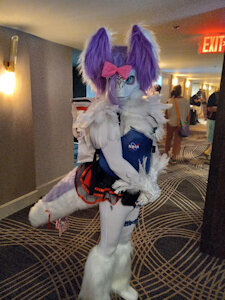Raptoroxy ACFI 2022 by huthro
