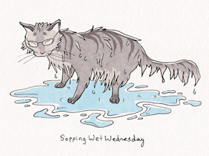 DRENCHED cat!! by anewIB