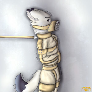 restrained, muzzled and treated by Drakethefox