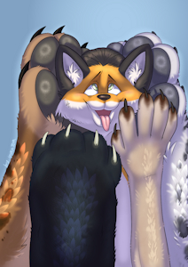 paws and fox by invenTOR