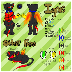 Ignis Refrence Sheet~ by AmberTheHyena