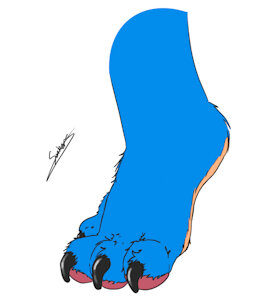 More sonic foot! by SonkerS