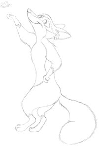 butterfly fox by sqrl