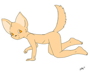 Sean Fennec by cublover14587