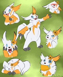 Quinn Sketchpage by Iceshadow