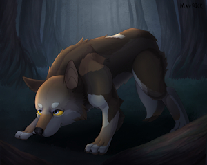 A wolf in a dark forest by Mavrick