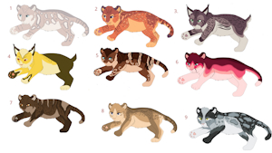Big cat adopts by AmayaKaoru